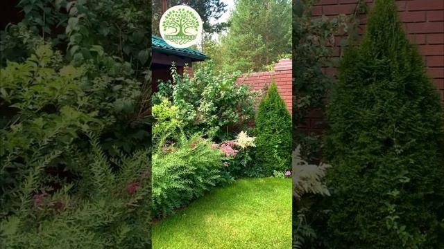 Ландшафтный дизайн. Гортензии, розы, туи, клематис, газон. смотреть онлайн