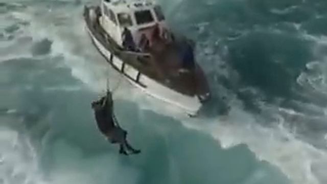 Смена смотрителя маяка во время шторма! смотреть онлайн