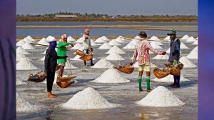 §20 "Значение Мирового океана для природы и человека", География 5 класс, Домогацких