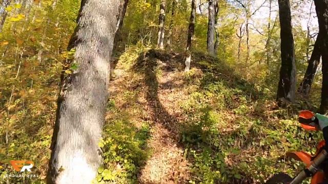 Эндуро тур в Красной Поляне под гидством Enduro SYNDICATE смотреть онлайн