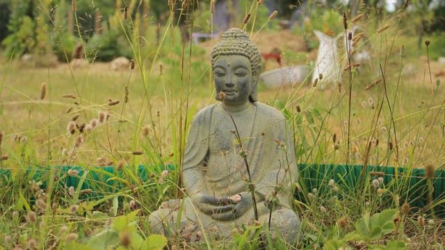 Buddha's Flute: Osho Dream 5 смотреть онлайн