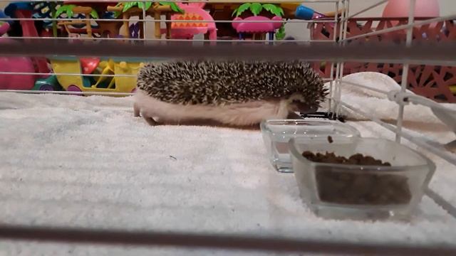 Потягушечки-порастушечки) смотреть онлайн