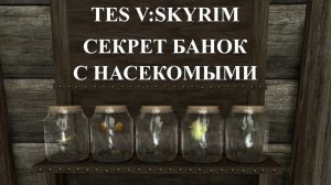 SKYRIM . СЕКРЕТ БАНОК С НАСЕКОМЫМИ.