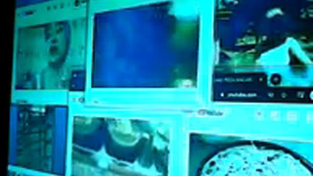 40 PAANGAT WH смотреть онлайн
