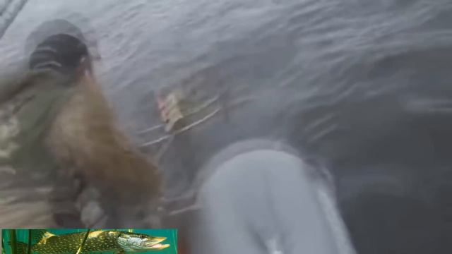 РЫБАЛКА ИЗ ПОСЛЕДНИХ СИЛ ! ДЕВУШКИ РУСАЛКИ ПОКАЗЫВАЮТ КЛАСС ! Вот это рыбалка 2018 ты не поверишь смотреть онлайн