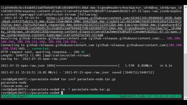 How to start a node and become a ParaState validator смотреть онлайн