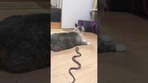 ПОДБОРОЧКА ПРИКОЛОВ