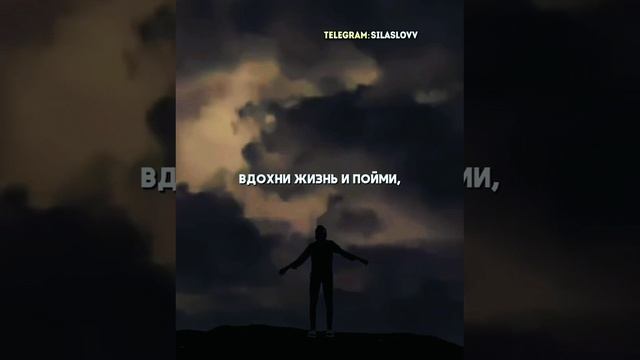 #мотивация #силаслова#успех