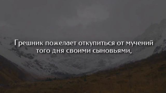 Мухаммад аль Люхайдан! Красивое чтение Корана😍! #Люхайдан #Коран  #qoran #Ислам #аят  #Сура #сунна