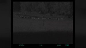 Yukon Sightline N455 - Наблюдение за животными