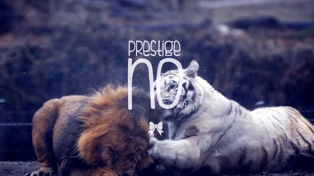 Izzu Bizu - White Tiger (Wantigga Remix) смотреть онлайн