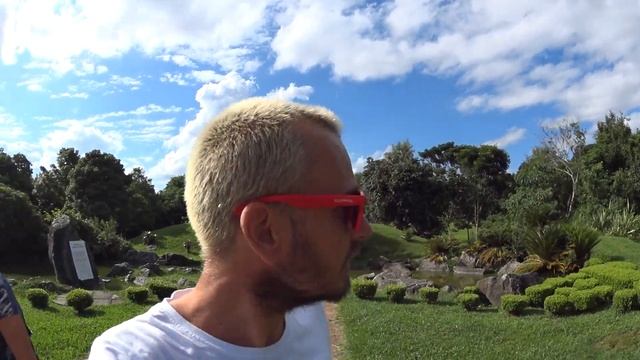 Капибары самые крупные грызуны на земле! Парк Bariguri Куритиба, Бразилия смотреть онлайн