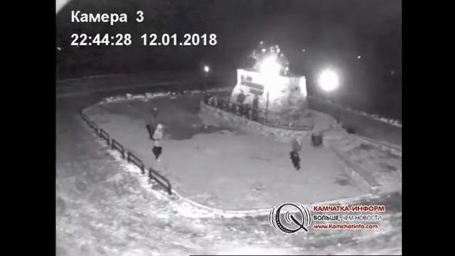 Самая известная медведица Камчатки осталась без ушей