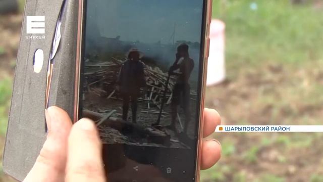 Жители села Шарыповского района обустроили сквер для отдых с молодыми кедрами смотреть онлайн