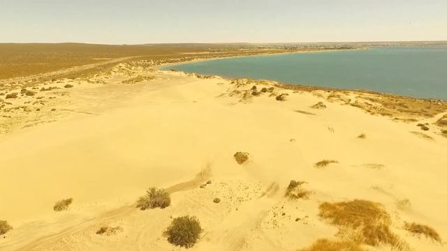 PUERTO MADRYN TURISMO смотреть онлайн