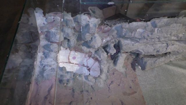 Здесь бУдут жить МУРАВЬИ # There will be ANTS смотреть онлайн