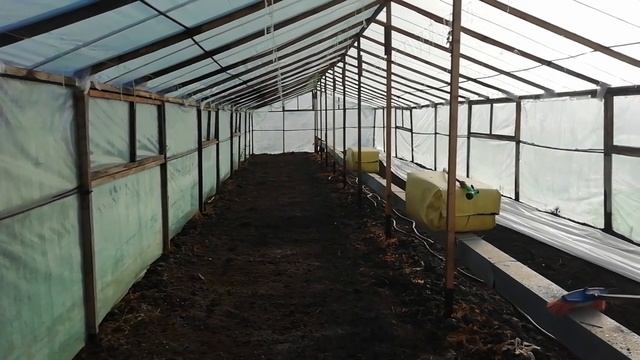 Посадка редиса зимой в теплице без отопления. смотреть онлайн
