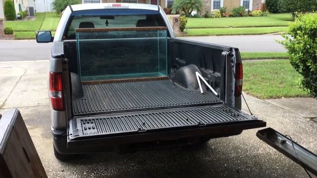 *HUGE* SCORE!- Saltwater Fish Tank Haul смотреть онлайн