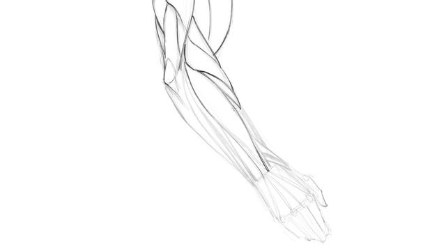Lesson 06. Drawing the Side View of the Arm Refinement смотреть онлайн