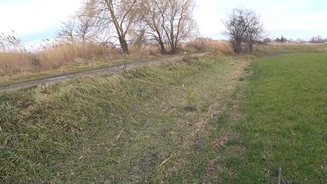 432 ч. ПЕРЕЕХАЛА НА ЮГ И УСТРОИЛАСЬ ДИРЕКТОРОМ ДЕНДРАРИЯ ?. смотреть онлайн