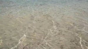 Aurora Oriental Resort Sharm El Sheikh 5* море