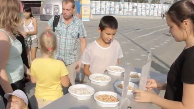 Контрольная закупка Арахис - семечки смотреть онлайн