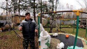 чем кормить кроликов основные правила