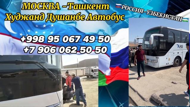 Москва Ташкент автобус 2023,Москва Худжанд Душанбе автобус,Moskva Tashkent avtobus #москва #ташкент смотреть онлайн