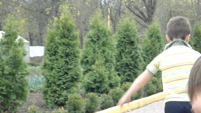 На коньках смотреть онлайн