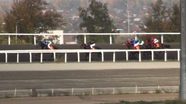 Грин Род Турф - Ограничительный приз.Лошади 2х лет. Казань 2014 г. смотреть онлайн