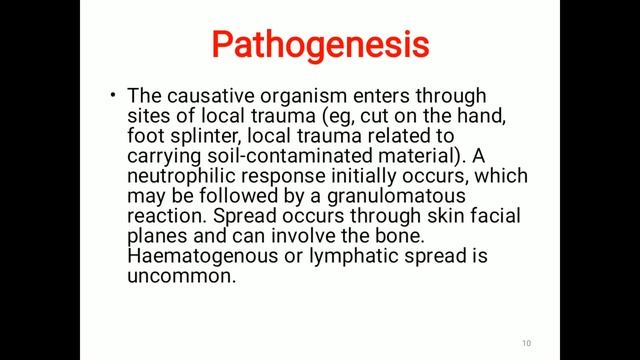 Mycetoma-short Notes