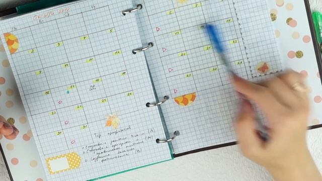 Мой ежедневник / Как я веду личный дневник / Как все успевать смотреть онлайн