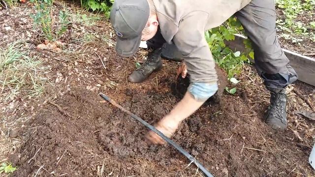 Замещающая посадка.бурт.корневая.субстрат. смотреть онлайн