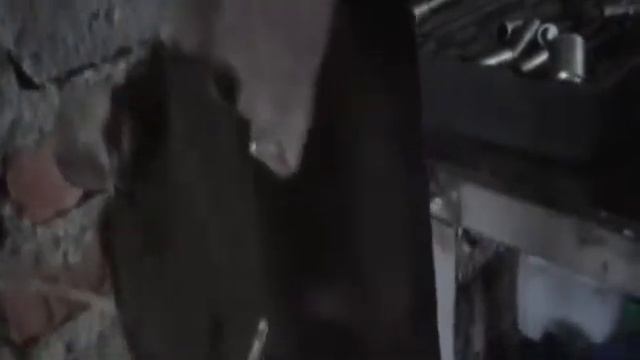 Чери М 11 радиатор охлаждения,кондиционера, шаровая, замена масло смотреть онлайн