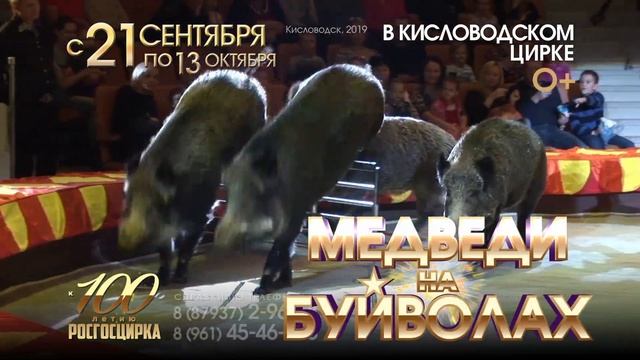 Кисловодск цирк смотреть онлайн