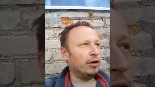 дачные страсти начало смотреть онлайн