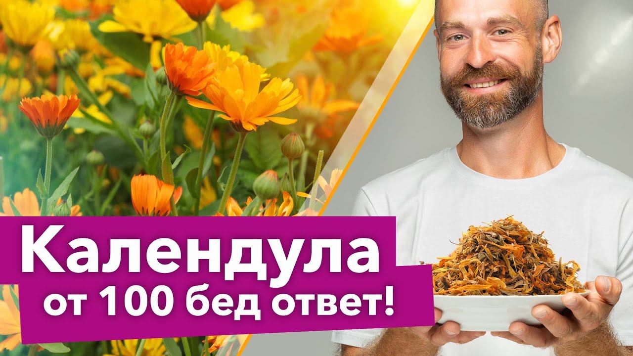 СЕЮ КАЛЕНДУЛУ ВЕЗДЕ И БЕД НЕ ЗНАЮ! Полезные свойства календулы для здоровья, сада и огорода смотреть онлайн