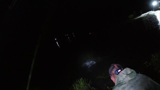 Как и на что наловить большое количество Осетра на платном водоеме. смотреть онлайн