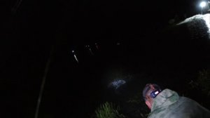 Как и на что наловить большое количество Осетра на платном водоеме.