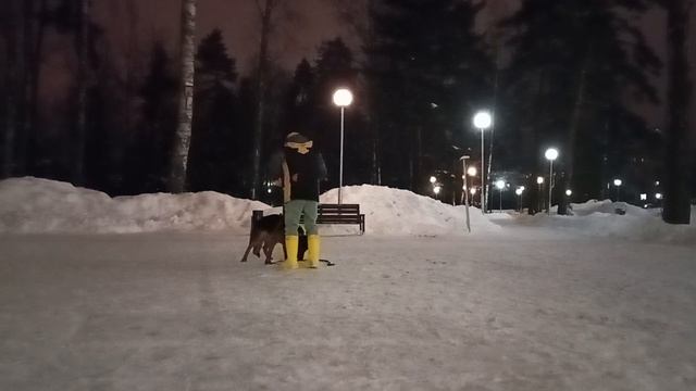 Развитие активности 29 января 2024 г. смотреть онлайн