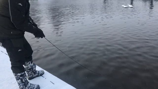 Ловля форели, форель на спиннинг РК «Фишка» Петряиха смотреть онлайн