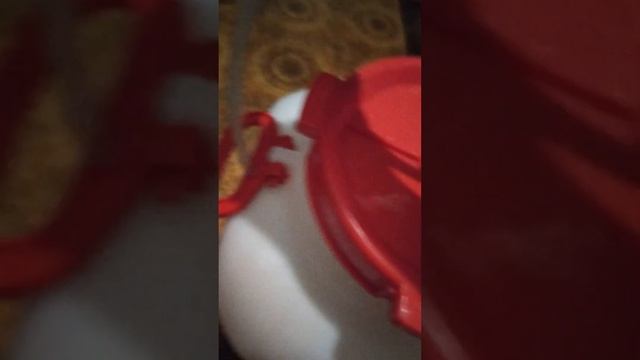 для авито бочка 50 литров, пищевая с гидрозатвором