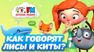 Спорим, ты этого не знаешь? #3  Гарри Поттер, сладости, мюзиклы