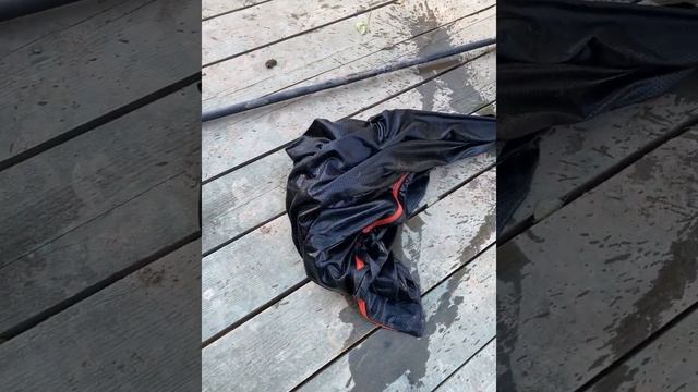 Профессиональный карпфишинг в гостях на озере Форест Фишинг смотреть онлайн