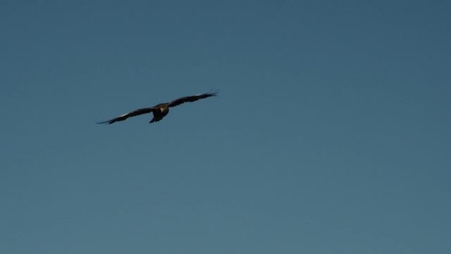 Сериал. ,,конец невинности'' (14 и 15 серии) - приятного просмотра! - описание эпизода (сюжет) смотреть онлайн