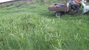 Тесть поставил двигатель от мотоблока на мотоцикл муравей