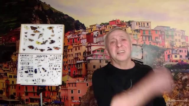 В. Высоцкий "Гербарий" смотреть онлайн