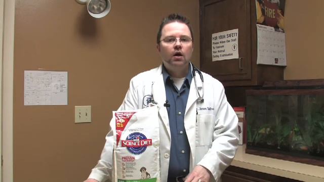 Dog & Cat Tips : What to Feed a Pregnant Dog смотреть онлайн