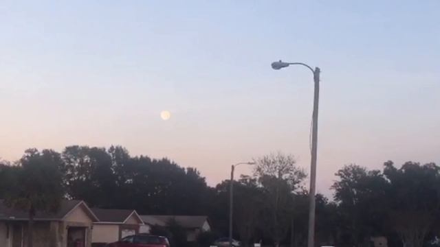 УТРО ТУМАН ПРОБЕЖКА - ВЕЧЕР ПРОГУЛКА - ПОЛНАЯ ЛУНА FloridaYalta 18.12.2016 смотреть онлайн