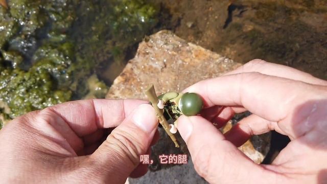 遺留在河邊的雪人鴨子竟然遺失，是被人拿走了嗎?沾水之後再凍的鴨子會更硬嗎?【野王大坤戶外】 смотреть онлайн